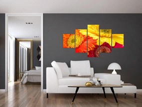 Obraz - Kwiaty Gerbery (125x70 cm)