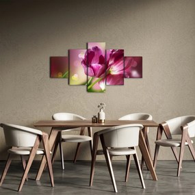 Obraz różowych tulipanów (125x70 cm)