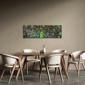 Obraz - Paw (z zegarem) (90x30 cm)