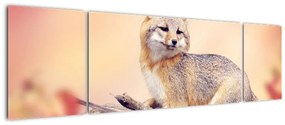 Obraz - Lis (170x50 cm)