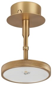 Lampa punktowa LED w kolorze złota ø 12 cm Asteria Spot – UMAGE