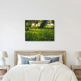 Obraz na szkle - natura - łąka (70x50 cm)