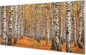 Panel szklany do Kuchni Jesienne Drzewa w Złocie