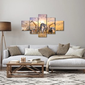 Obraz - Afrykańskie zwierzęta (125x70 cm)