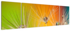 Obraz kropli na roślinie (170x50 cm)