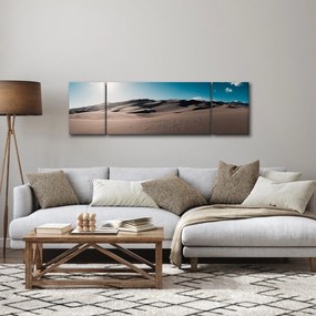 Obraz - Z pustyni (170x50 cm)
