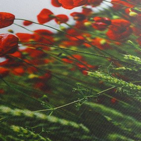 Obraz maków na wietrze (z zegarem) (90x30 cm)