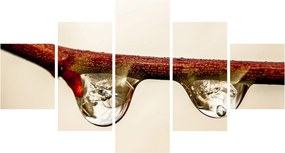 Obraz kropli na gałęzi (125x70 cm)