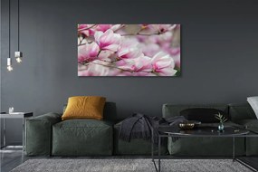 Zdjęcie na płótnie Kwitnące Drzewa