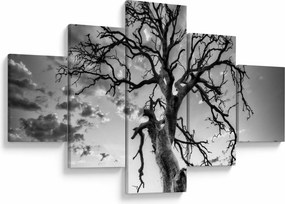 Obraz - Czarno - białe drzewo (125x70 cm)