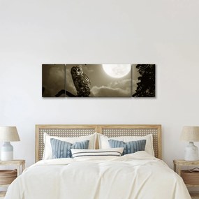 Obraz - Nocna sowa, złoty (170x50 cm)