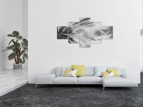 Obraz - Mlecz (125x70 cm)
