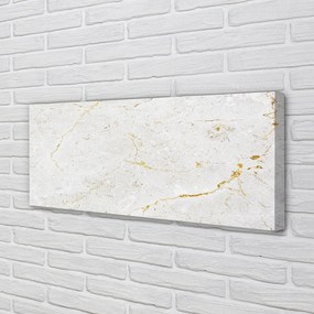 Zdjęcie na płótnie Marmur w Odcieniach Szarości