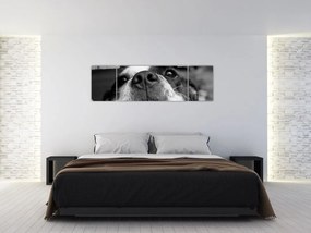 Obraz psa (170x50 cm)