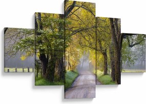 Zdjęcie - Smoky Mountains, Gatlinburg, USA (125x70 cm)