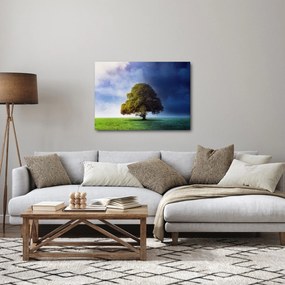 Obraz - Dzień i noc (70x50 cm)