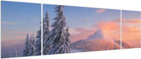 Obraz - Zimowy krajobraz (170x50 cm)