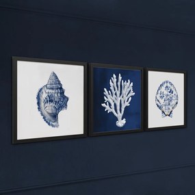 Obraz 30x30 cm Sea Treasure – Styler