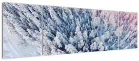 Obraz ośnieżonych drzew (170x50 cm)