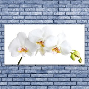 Duży obraz na płótnie Pastelowy Bukiet Botaniczny