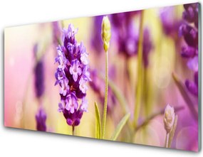 Panel nad blat kuchenny Delikatność Polnych Kwiatów