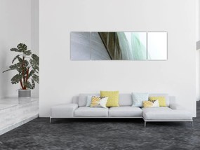Obraz - Pióra, makro (170x50 cm)