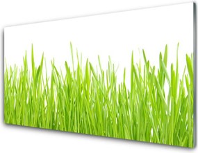 Szkło Dekoracyjne do Kuchni Świeżość Letniego Trawnika