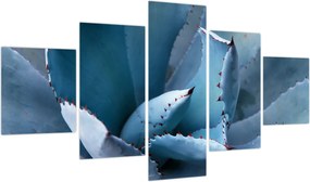 Obraz - Agawa (125x70 cm)