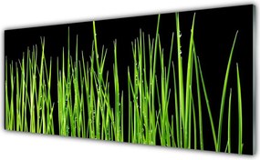 Panel Kuchenny Naturalna Tekstura Trawy