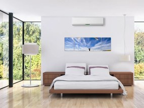 Obraz - Paralotniarstwo (170x50 cm)