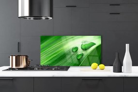 Panel Szklany do Kuchni Perlista Rosa Na Liściu