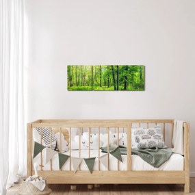 Obraz - Wiosenny las liściasty (z zegarem) (90x30 cm)