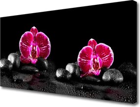 Obraz na płótnie Biała Orchidea w Zbliżeniu