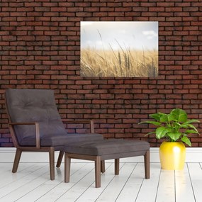 Obraz ziarna (70x50 cm)