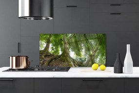 Panel Szklany do Kuchni Korony Rozłożystych Drzew