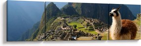 Obraz - Lama i Machu Picchu (170x50 cm)