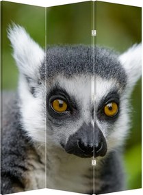 Parawan - Lemur (126x170 cm)