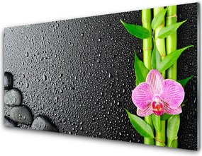 Panel Szklany Egzotyczny Pęd Bambusa