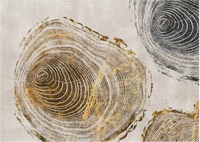 Obraz - Abstrakcja pnia (70x50 cm)