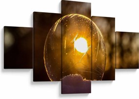 Obraz - Przezroczysta bańka (125x70 cm)