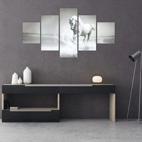 Obraz - Biały koń (125x70 cm)