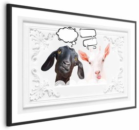 Plakat Śmieszne kozy 60x40 cm z ramą czarną bez marginesu ARTGEIST B