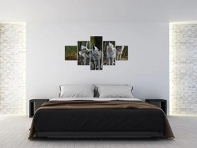 Obraz - Wilki na skale (125x70 cm)