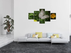 Obraz - biały motyl (125x70 cm)