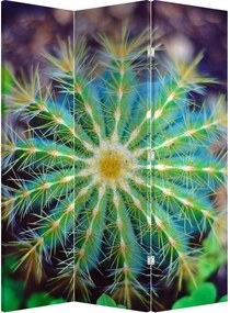 Parawan - Kaktus (126x170 cm)