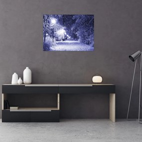 Obraz na szkle - Magiczna zimowa noc (70x50 cm)