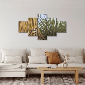 Obraz - Strzyżyk (125x70 cm)