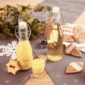Orion Butelka z klipsem i zamknięciem Vločkaczerwona, 0,16 l, 160 ml