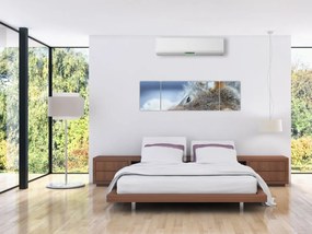 Obraz - Wilk (170x50 cm)
