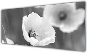 Panel Szklany do Kuchni Klasyczny Motyw Maków